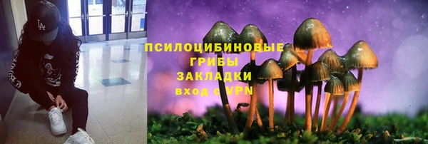 шишки Алзамай