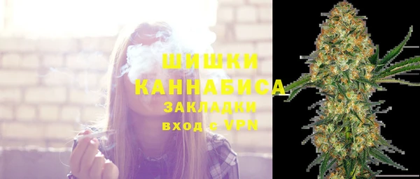 шишки Алзамай