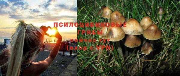 шишки Алзамай