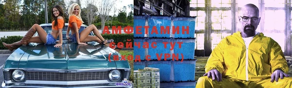 шишки Алзамай