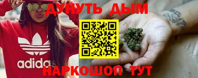 ПСИЛОЦИБИНОВЫЕ ГРИБЫ Кингисепп