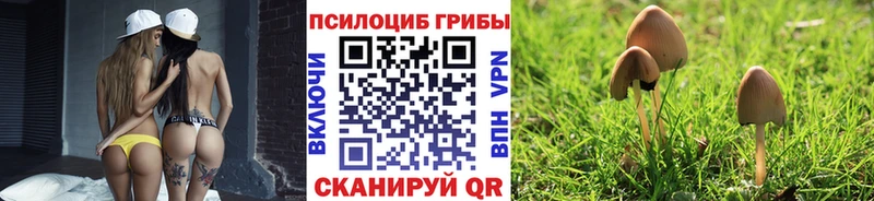 Псилоцибиновые грибы мицелий  Коркино 