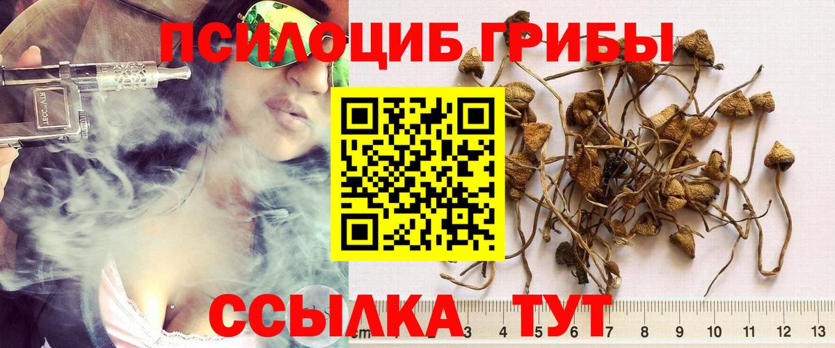 Коркино  Псилоцибиновые грибы Psilocybe  Вход с VPN  Галлюциногенные грибы MAGIC MUSHROOMS 